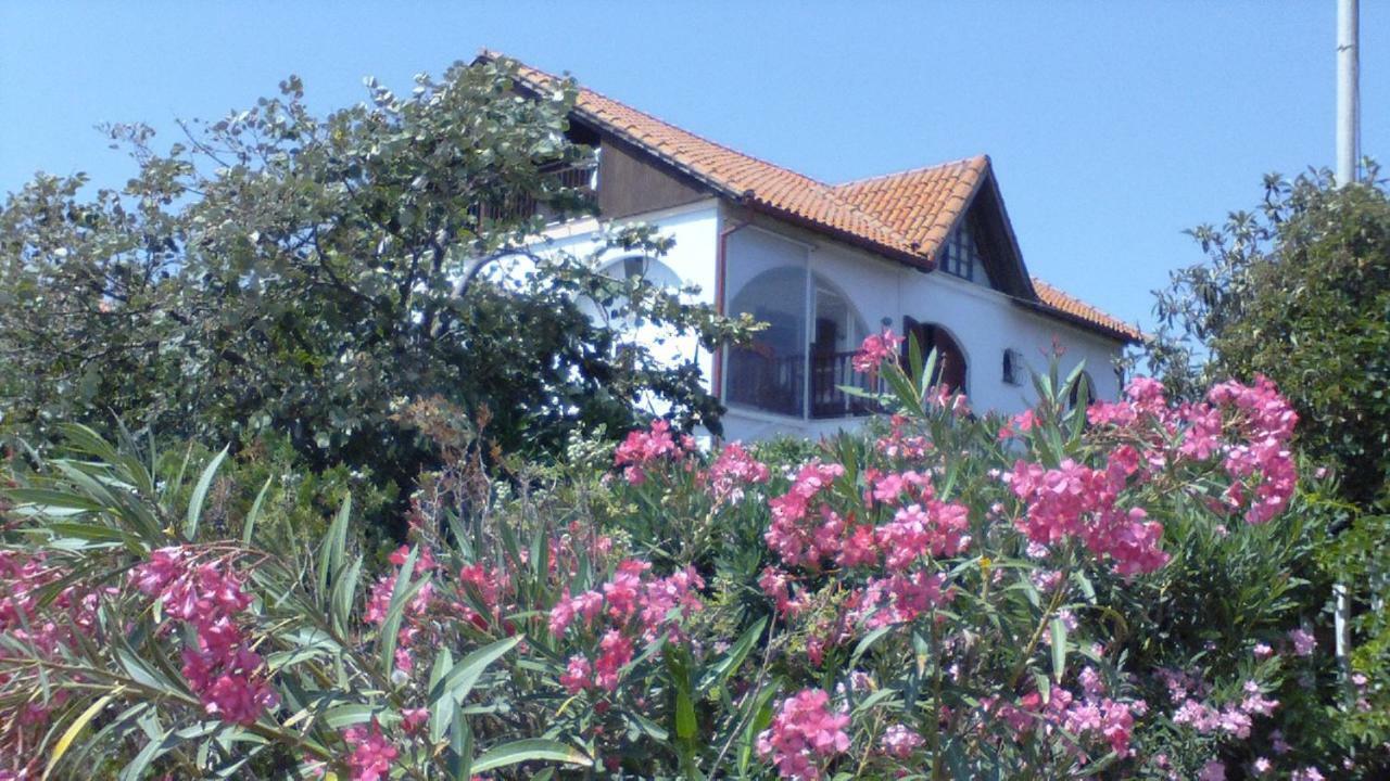 Villa Iris Vrasná Exteriér fotografie